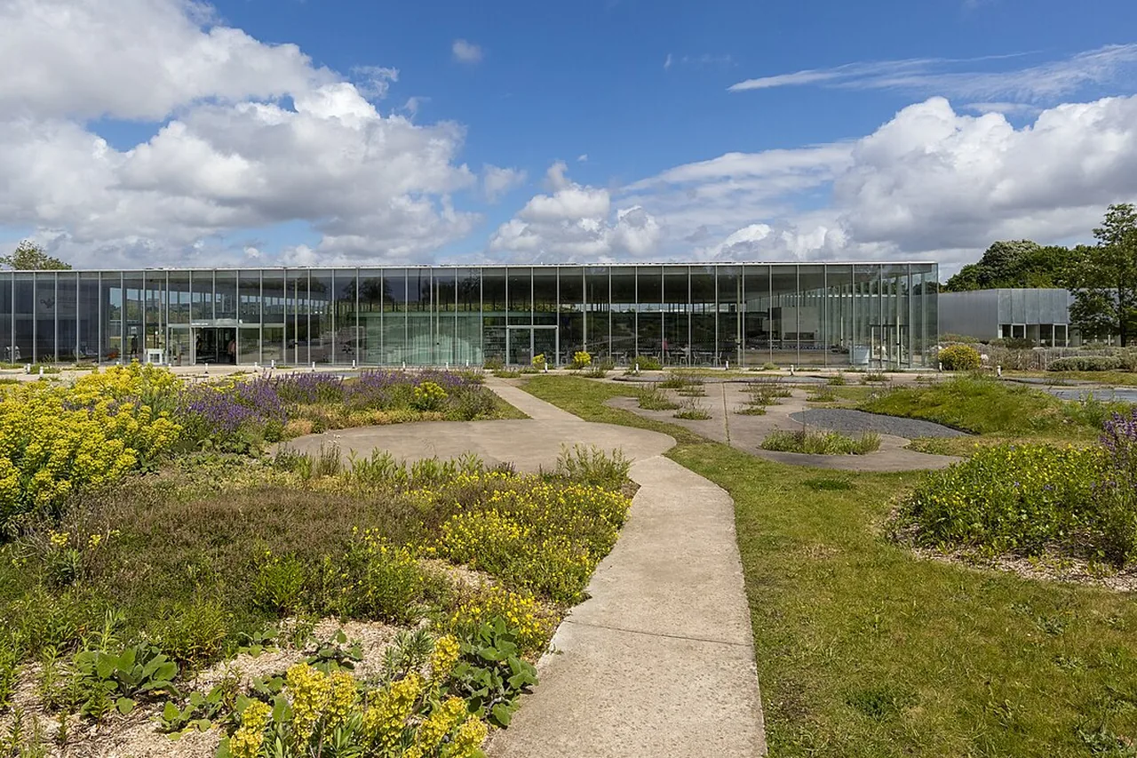 Le Louvre-Lens et son parc