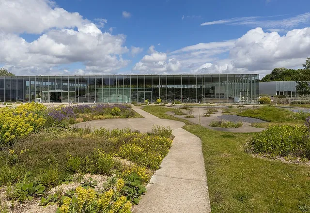 Le Louvre-Lens et son parc